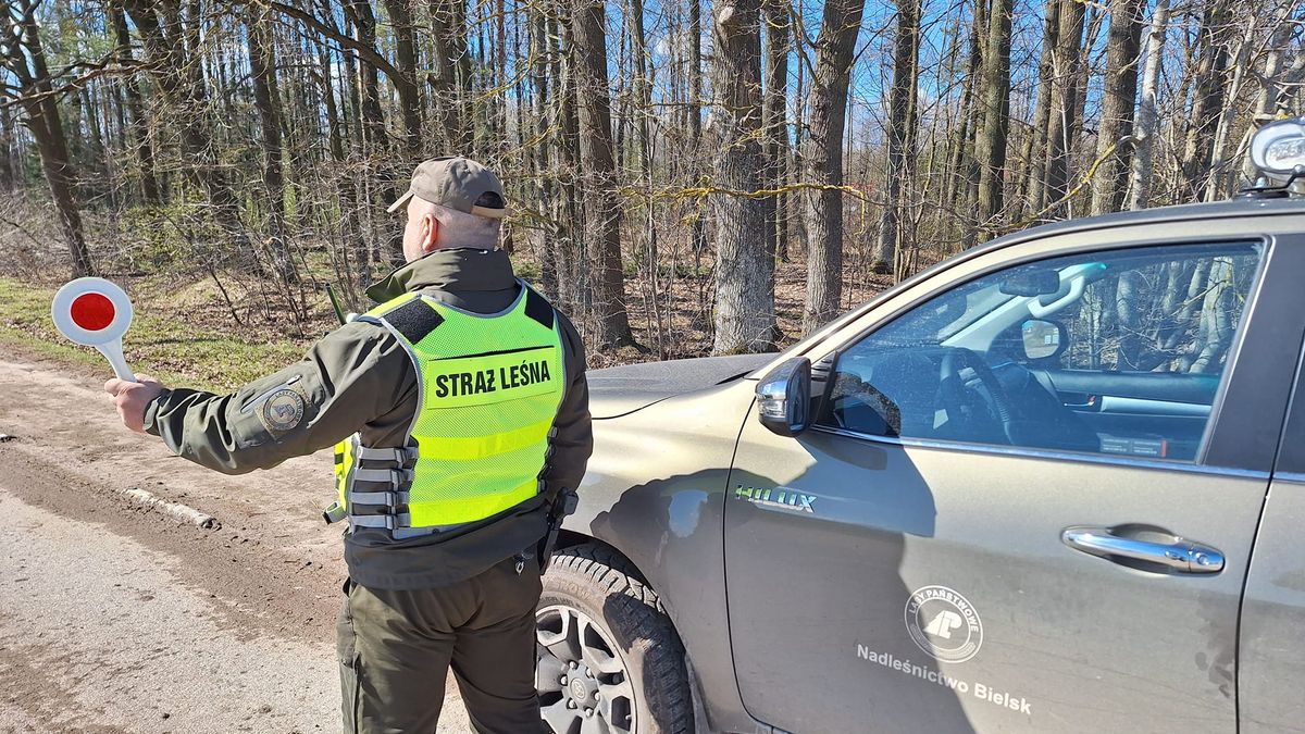 Podczas jazdy po lesie strażnik leśny może zatrzymać kierowcę