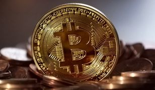 Walia. Wyrzucił dysk, na którym miał tysiące bitcoinów. Zwrócił się o pomoc do miasta