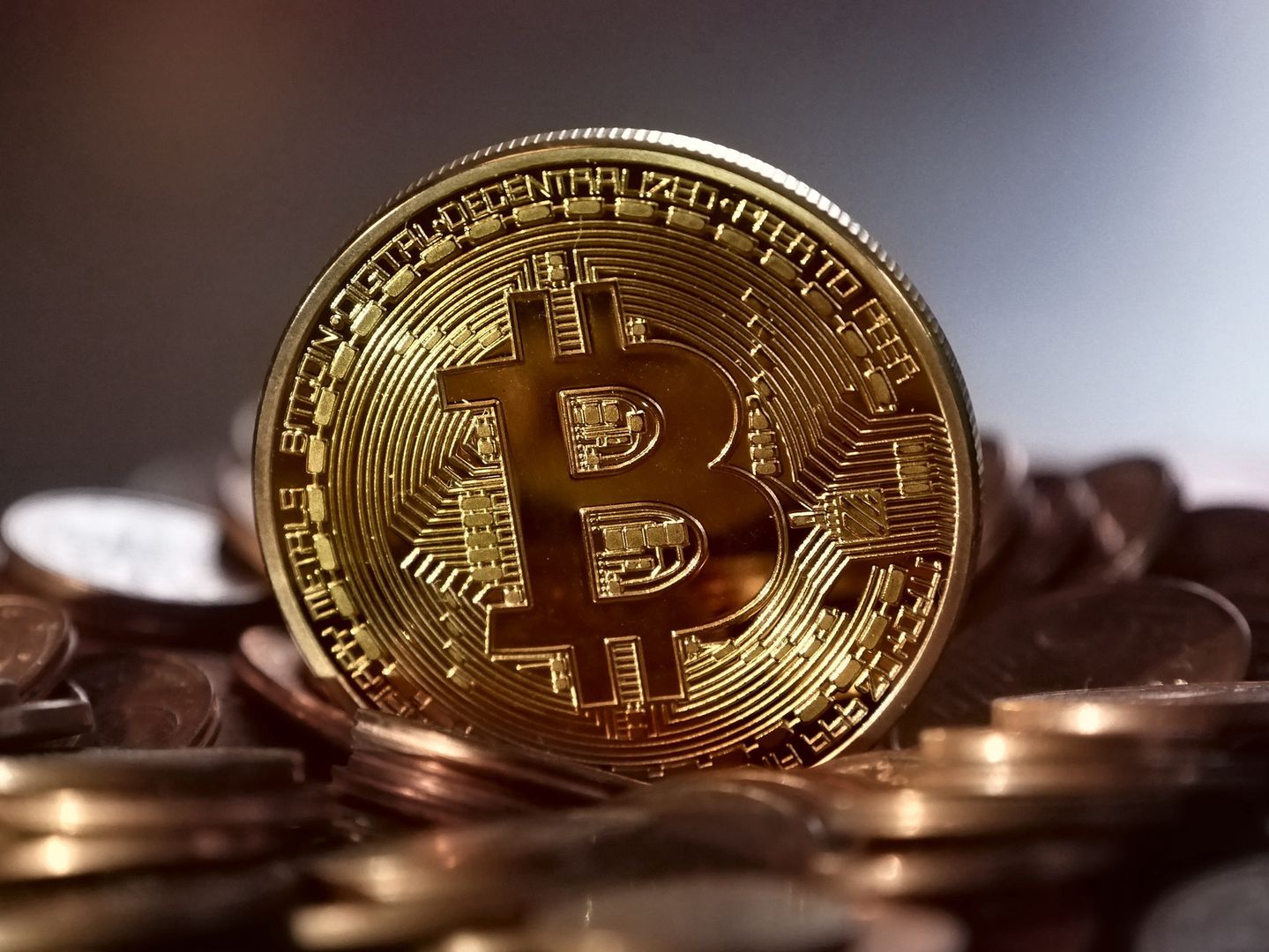 Walia. Wyrzucił dysk, na którym miał tysiące bitcoinów. Zwrócił się o pomoc do miasta
