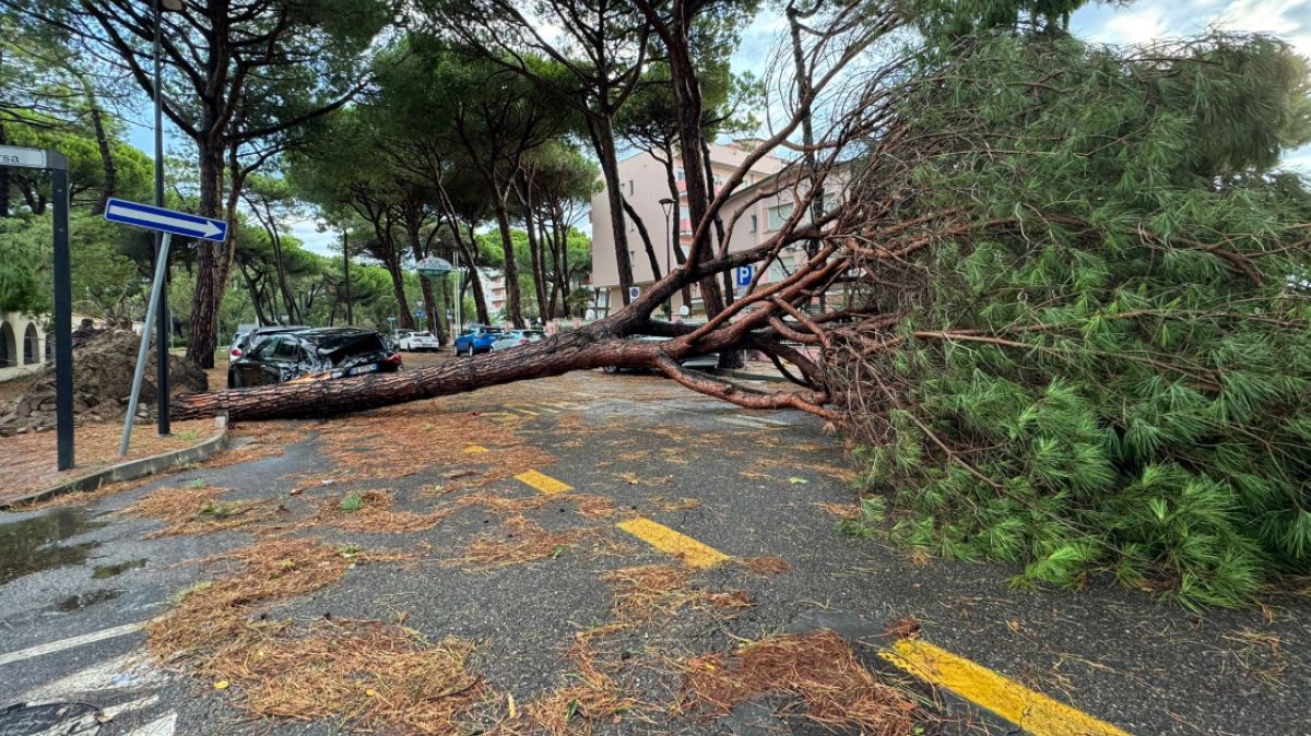 Skutki gwałtownej burzy  na wybrzeżu w Emilii-Romanii