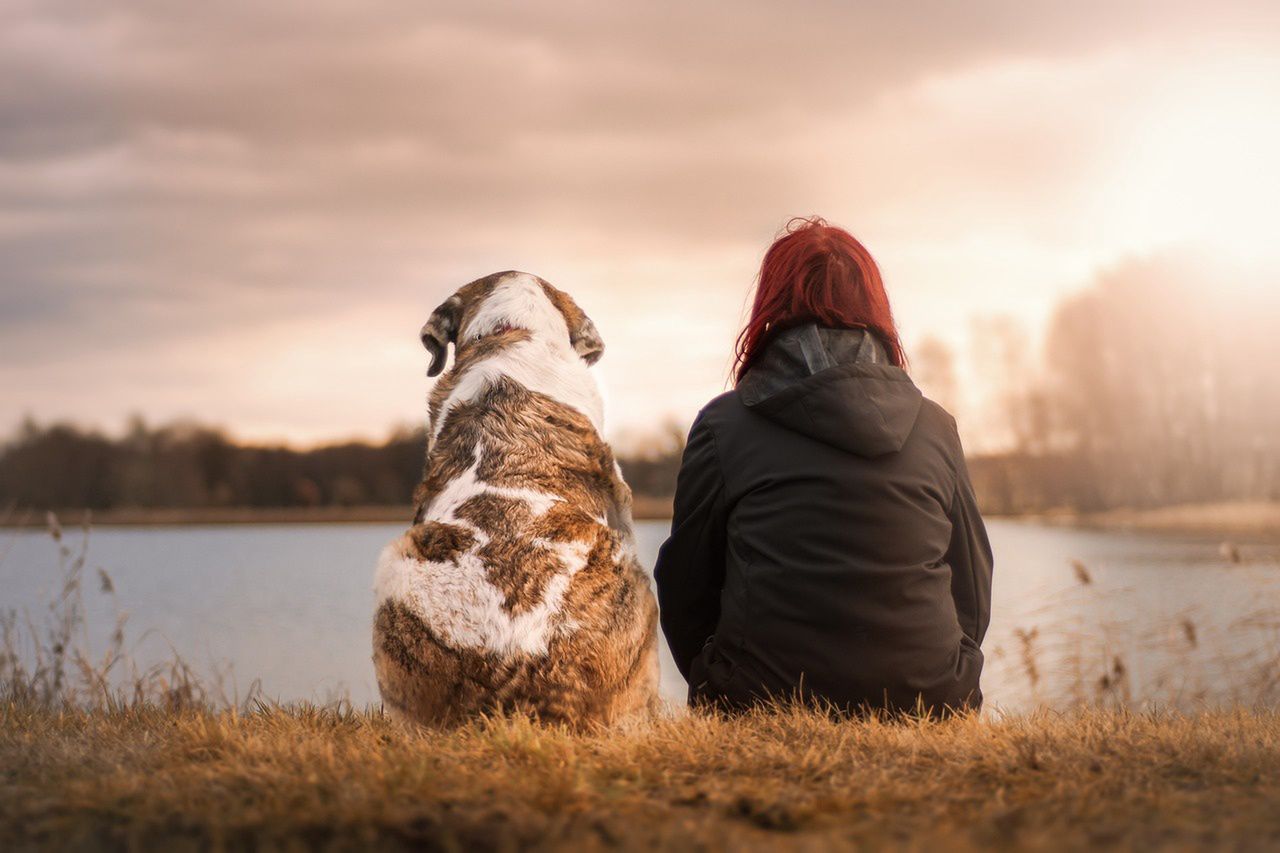 He hindered the woman's contact with the dog. A court ruling has been issued.