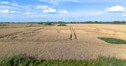 Rolnictwo zajmuje 62 proc. Polski. Na horyzoncie są trzy problemy