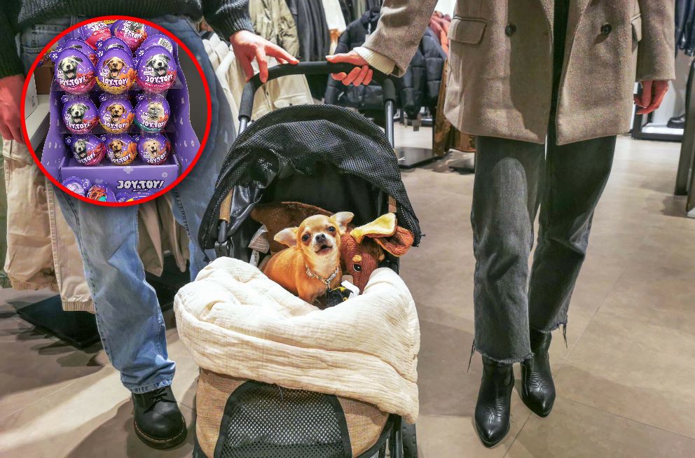 Dzień Dziecka. Dla wielu Polaków to również dzień "psiecka" i "kociecka"