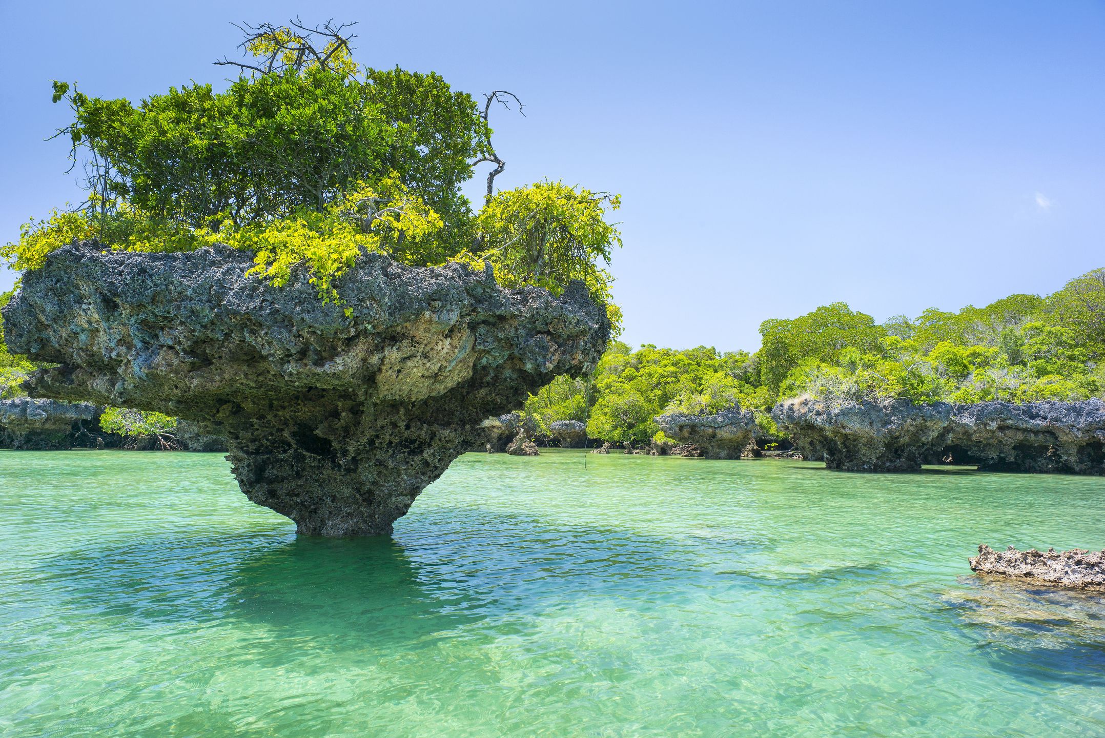 Przyroda na Zanzibarze zachwyca