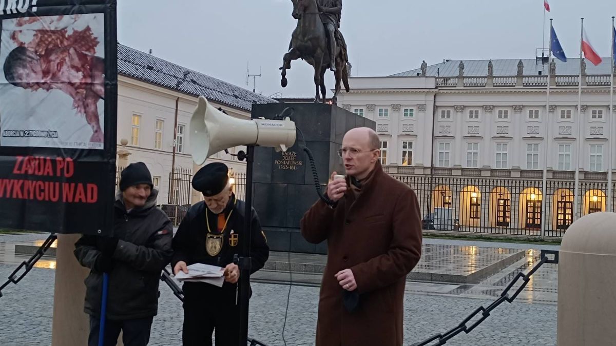Manifestacja pod Pałacem Prezydenckim w sprawie in vitro.