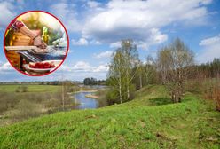 Prognoza pogody na Święto Pracy 1 maja. Czy aura będzie sprzyjać grillowaniu?