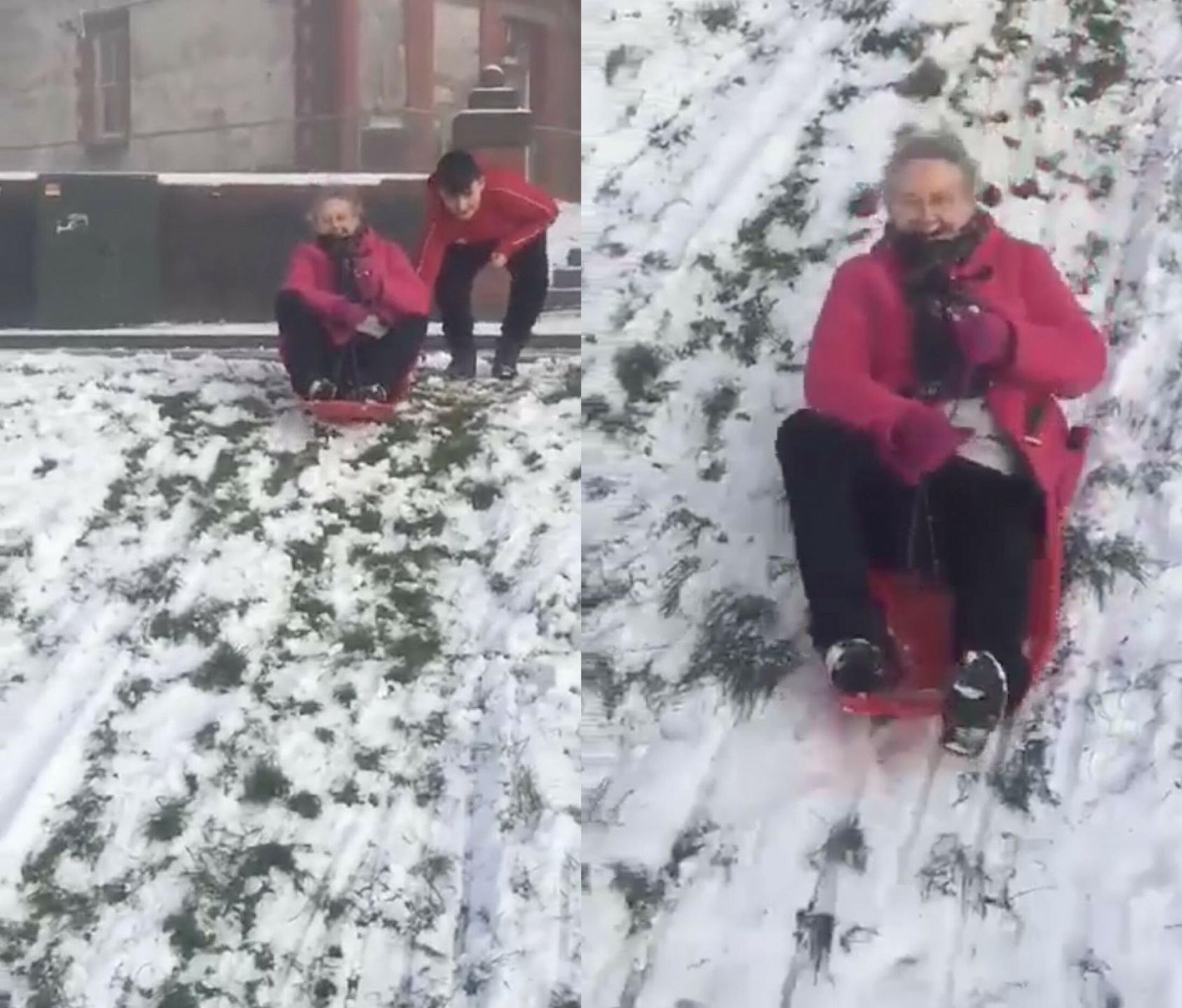 Ollie pomógł babci na sankach