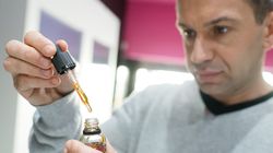 Kamfora - działanie, zastosowanie i właściwości