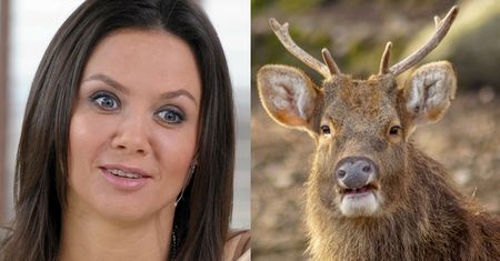 Kinga Rusin zachwala "MAJ NA RODOS": "Jest zielono, jelenie podchodzą pod nasz dom" (FOTO)