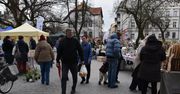 Kalisz: Wiosenny targ różności na plantach. Było duże zainteresowanie