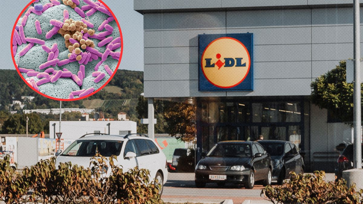 Salmonella w Lidlu