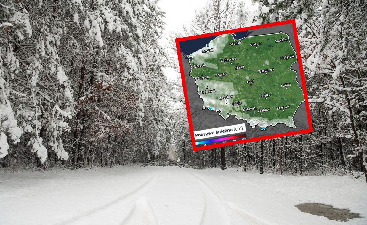 Najnowsza prognoza. Mapa pokazuje, gdzie posypie śnieg