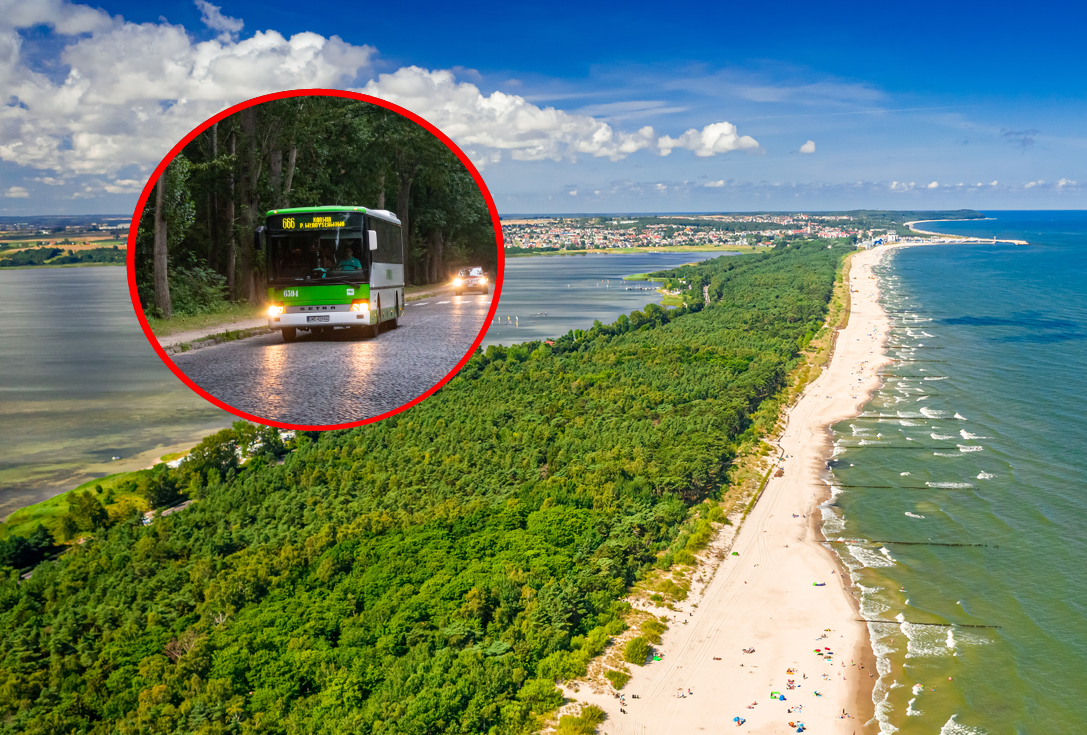 Legendarna linia autobusowa powraca. Turyści ją uwielbiają