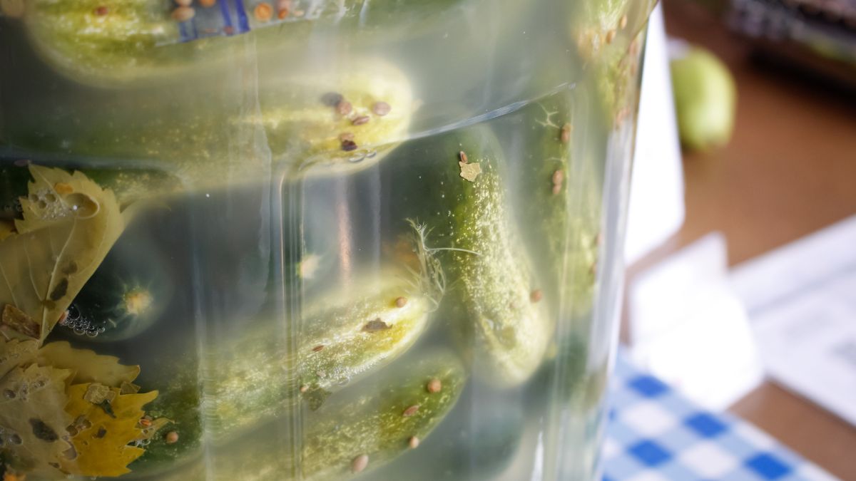 Kiszone ogórki mogą być niezdrowe. To skutek internetowej mody