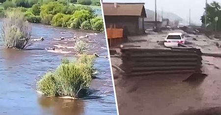 Seria katastrof w Rosji. Setki zwierząt utonęło