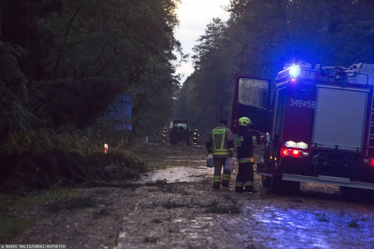 Silny wiatr w Polsce. Ewakuacja obozów namiotowych, na drodze połamane drzewa