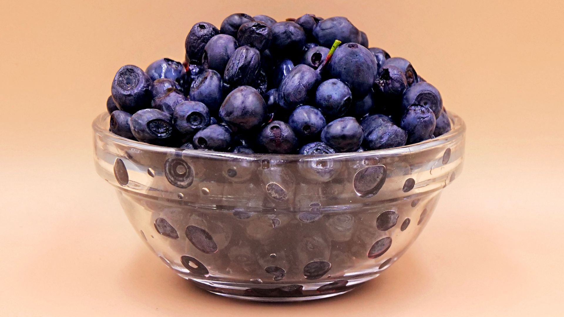 Borówka amerykańska