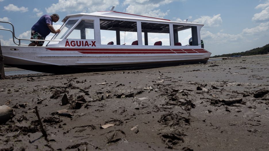 Susza w Amazonii