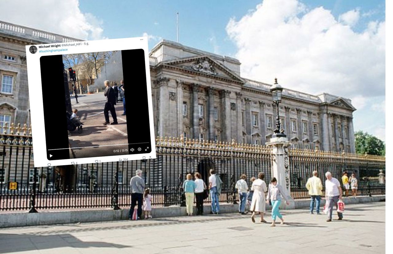 Electric Rickshaw Erupts in Flames Near Buckingham Palace, No Injuries