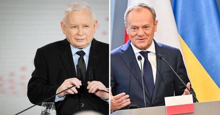 "Świąteczny cud". PO i PiS opublikowały komunikaty. Ekonomista komentuje