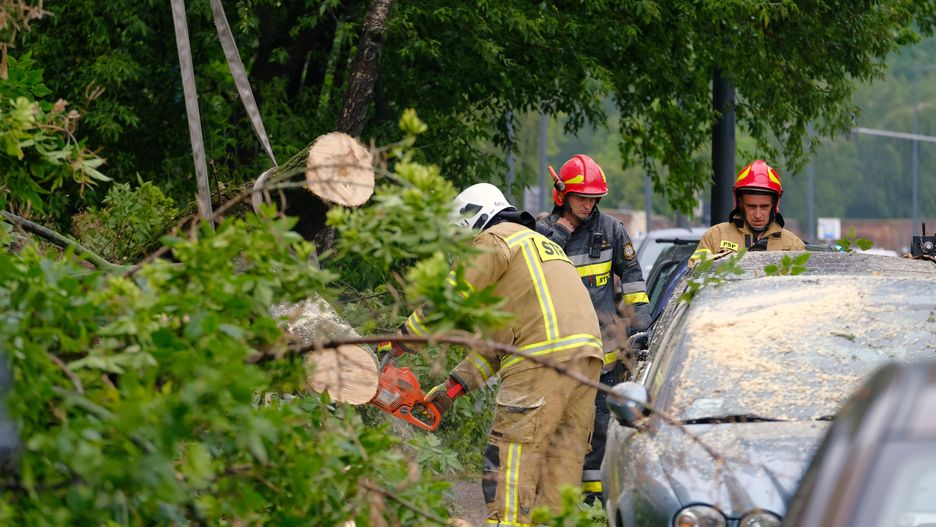 Burza nad Warszawą. Kilkadziesiąt interwencji strażaków