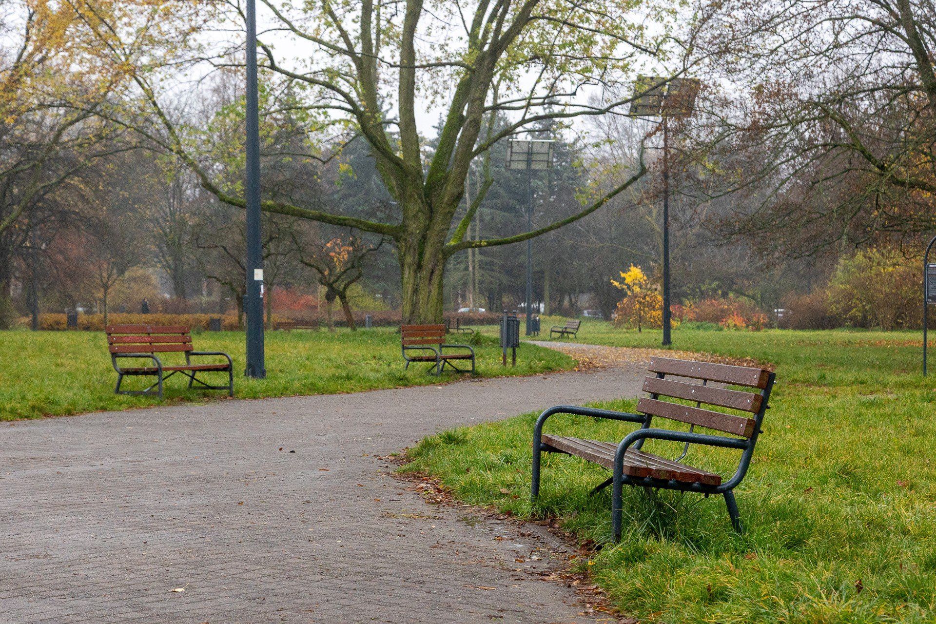Park imienia Szarych Szeregów w Łodzi