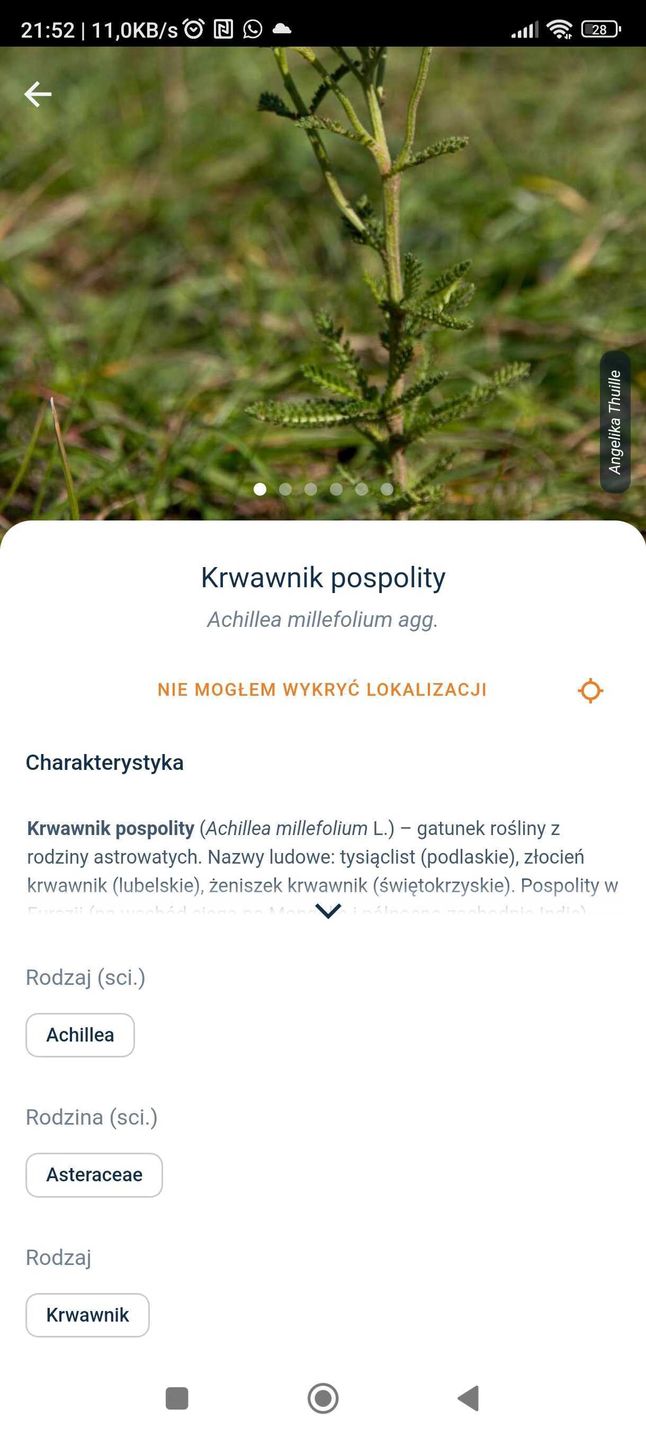 Atlas Do Rozpoznawania Roślin Flora Incognita - darmowa aplikacja do rozpoznawania roślin