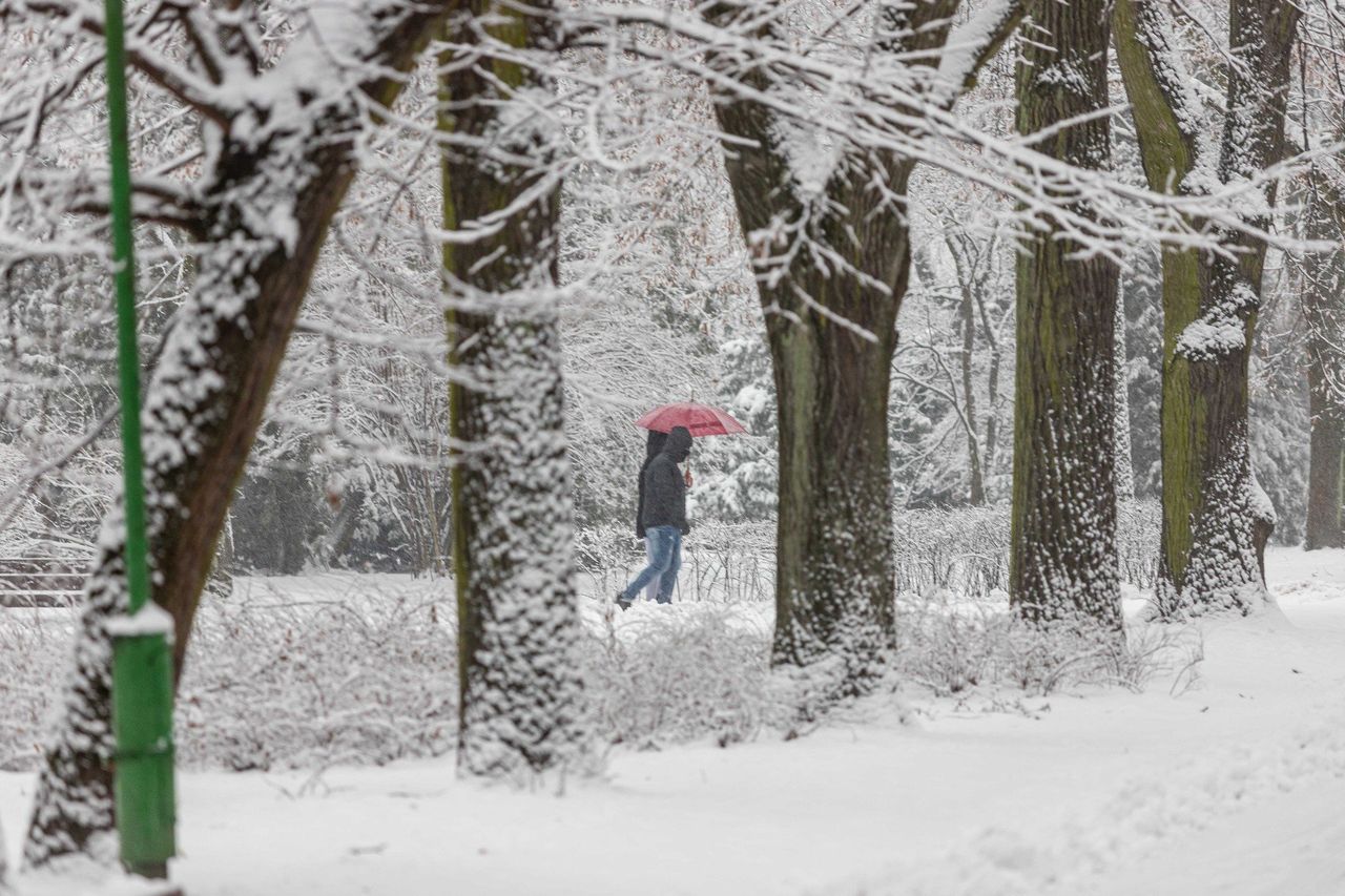 Zaczyna się atak zimy. Spadnie nawet 20 cm białego puchu
