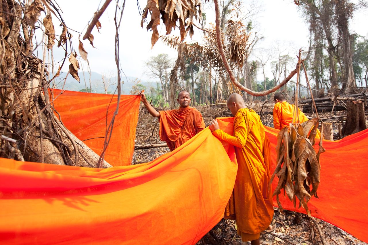 Luke Duggleby został laureatem nagrody przyznawanej po raz pierwszy w historii konkursu przez Komisję Leśną Anglii. Fotografia przedstawia mnichów buddyjskich w Kambodży, starających się ochronić jedno z niewielu drzew, które ostały się po wycince lasu pod plantację bananów. Otaczają je pomarańczowym materiałem i modlą się. Warto również spojrzeć na inne zdjęcia, które brały udział w konkursie.