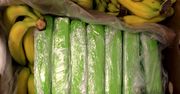 Kokaina w bananach. Znaleziono ją w sklepie sieci Carrefour