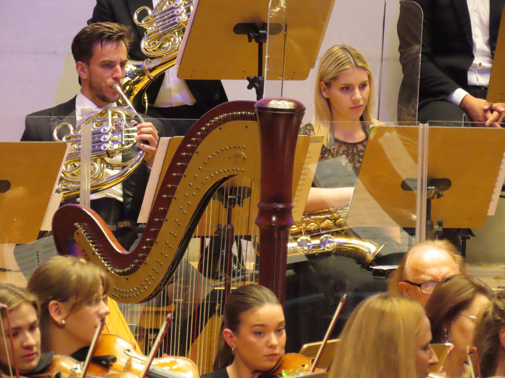 String Festival - Filharmonia Zielonogórska