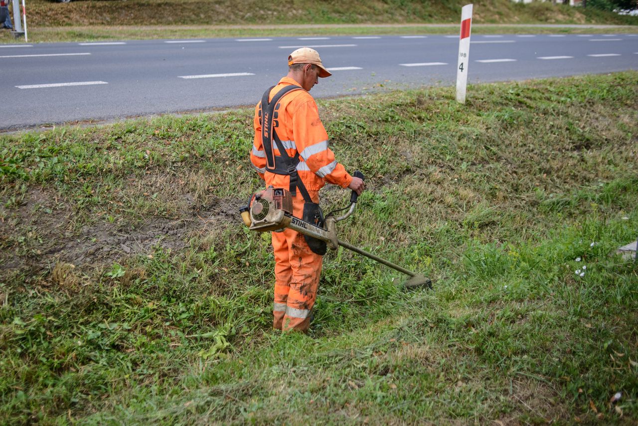 Koszenie trawy w lecie. Dlaczego trawniki w miastach nie są koszone?