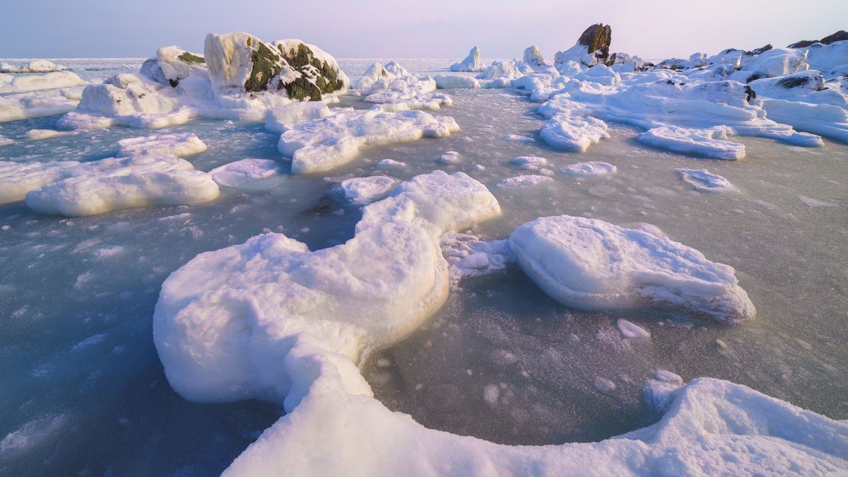 Wyspa Sachalin znajduje się u wybrzeży Rosji 