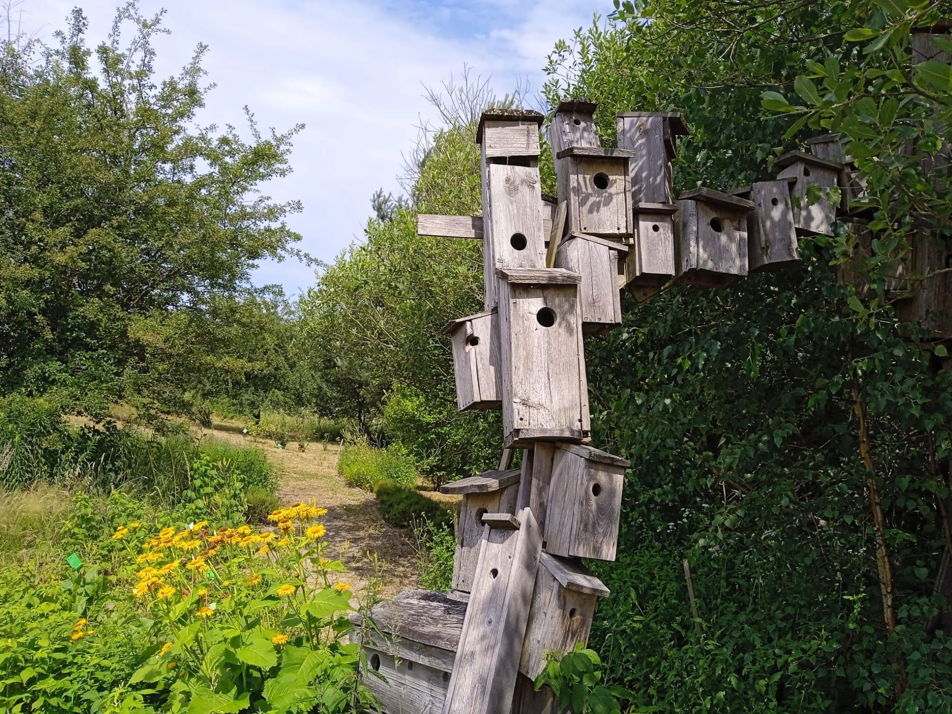 Na terenie siedliska można znaleźć mnóstwo uroczych zakamarków