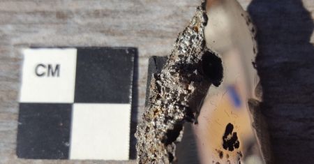Wewnątrz ogromnego meteorytu znaleziono dwa nowe minerały
