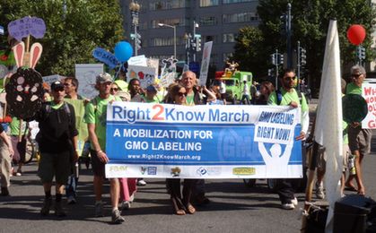 Wojna o GMO w Stanach. Skomplikuje relacje z Unią?