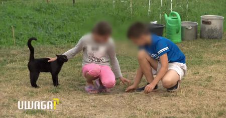 Rodzeństwo 12-latków: Tata nadużywa alkoholu, podnosi rękę