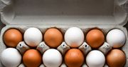 Wiesz co oznacza kolor skorupki jajka? Będziesz zaskoczony