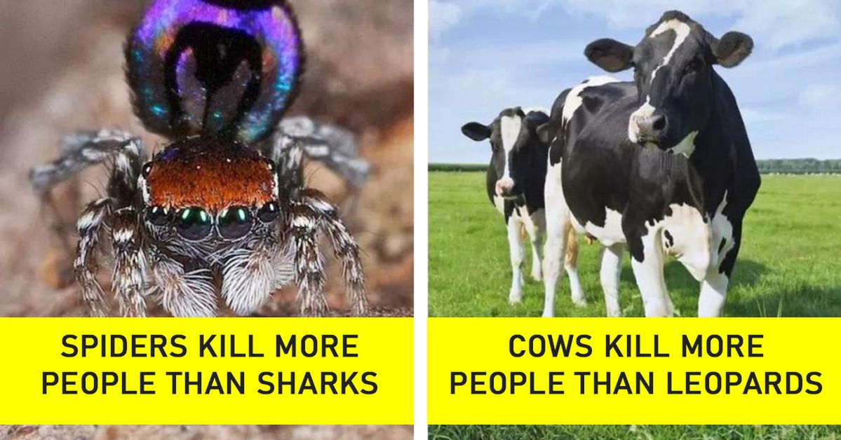 19 Lethal Animals. They Are the Most Notorious for Killing Human Beings