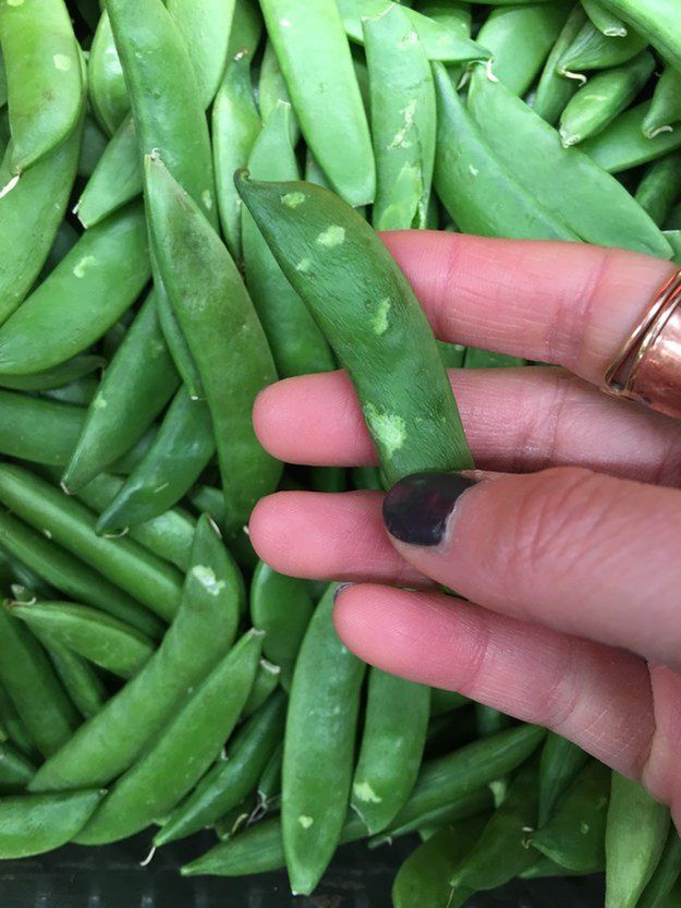 enhanced-2639-1460385132-1