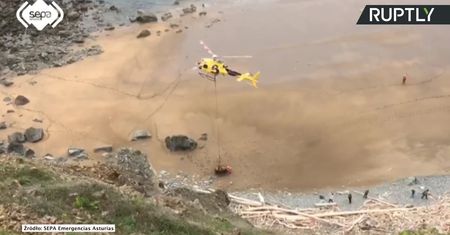 Jednotonowy byk ewakuowany helikopterem z hiszpańskiej plaży. Wcześniej spadł z wysokiego klifu