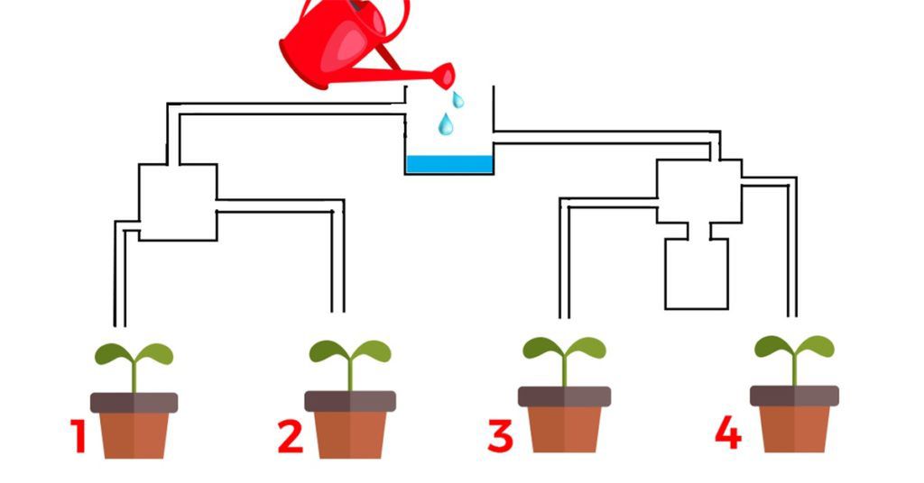 Which Plant Will Be Watered First? 80% Of People Come Up with a Wrong Answer!