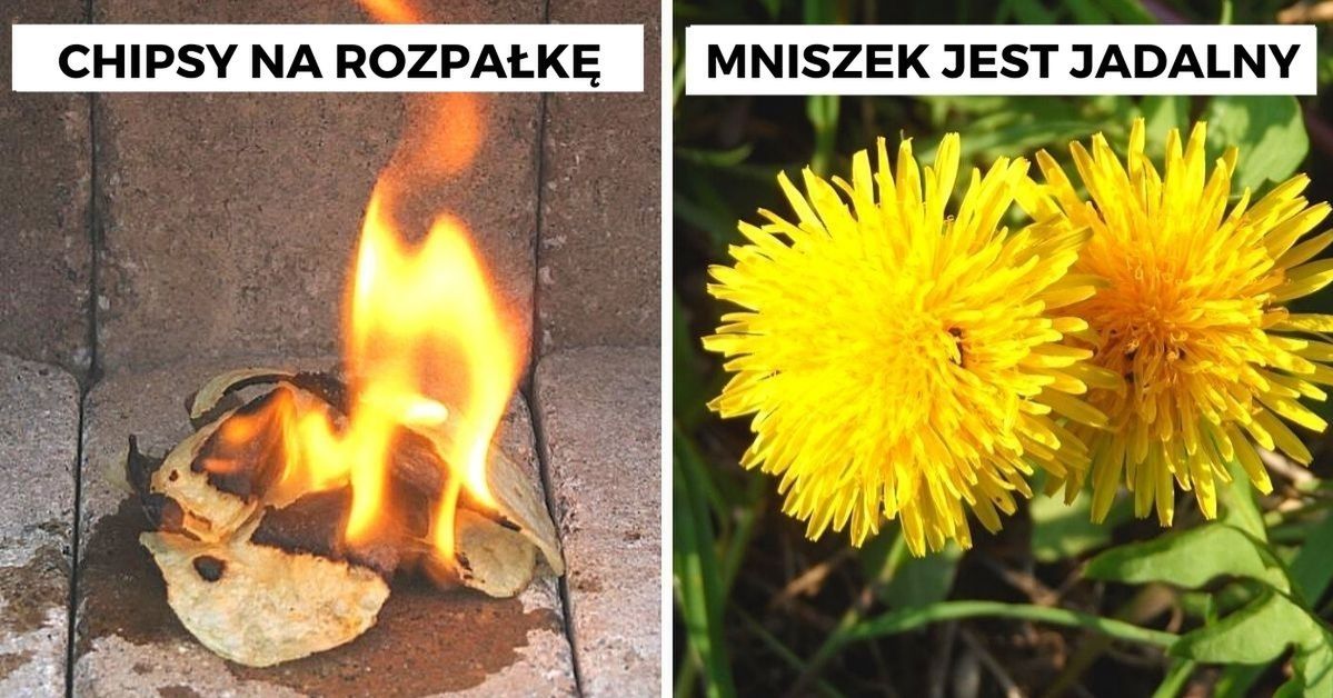 10 survivalowych trików na przetrwanie w niebezpiecznej sytuacji. Mogą uratować komuś życie