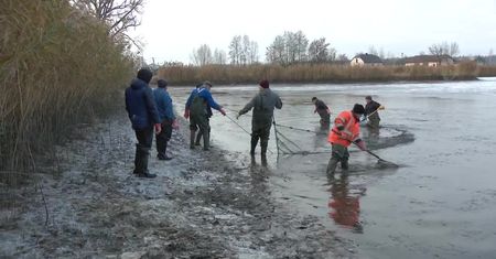 Święta tuż tuż. Karp też będzie droższy niż przed rokiem
