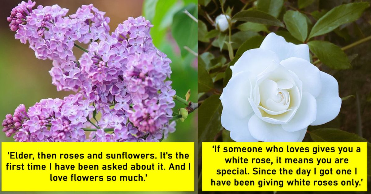 21 Men Reveal What Flowers They like the Most. It’s Not Only Women Who Appreciate Plants!