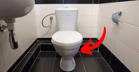 Oto dlaczego miski WC robi się z białej ceramiki. Mało kto o tym wie