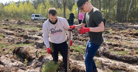 Rusza piąta edycja Festiwalu Wolontaryjnego EY GDS Polska. Pracownicy zasadzą 4000 drzew