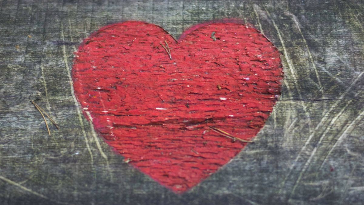 Wyobrażenie serca (fot. EastNews)