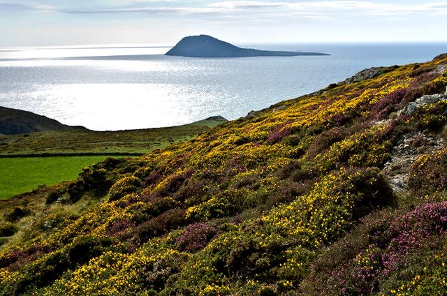 Bardsey Island - wyspa 20 tys. świętych