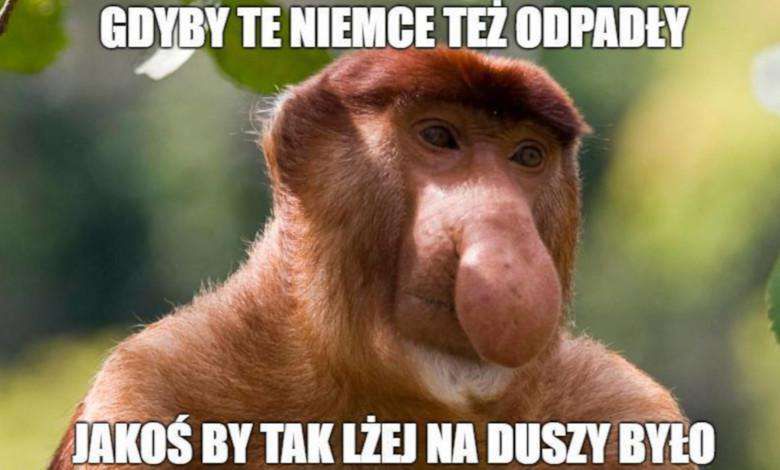 Mem odpadnięcie Niemców z Mistrzostw Świata
